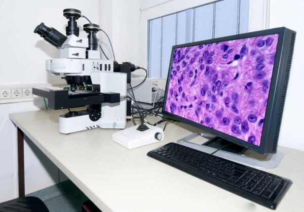 Histopathology