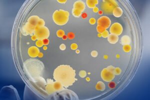 Microbiology